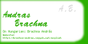 andras brachna business card